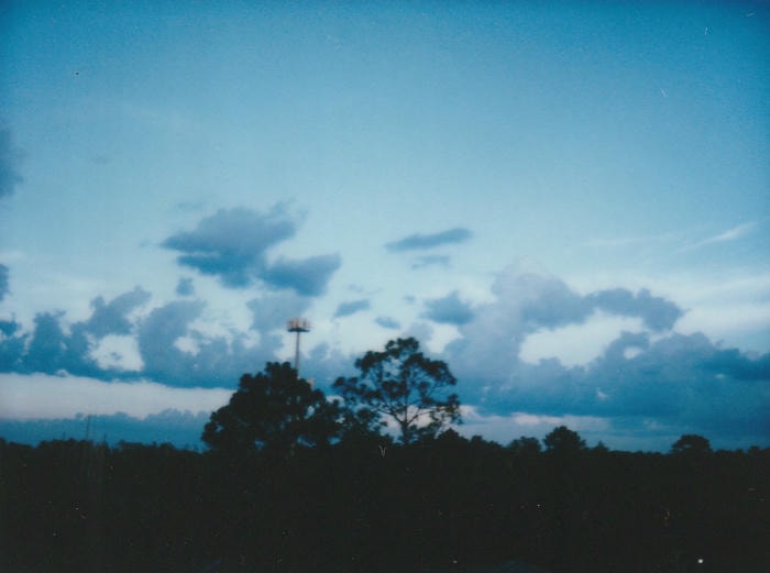 instant picture from my florida trip